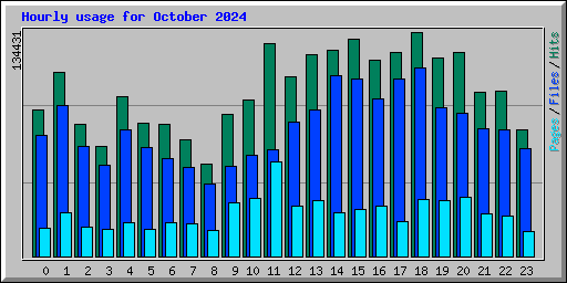 Hourly usage for October 2024