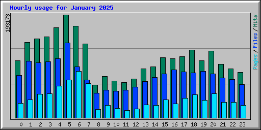 Hourly usage for January 2025