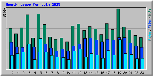 Hourly usage for July 2025