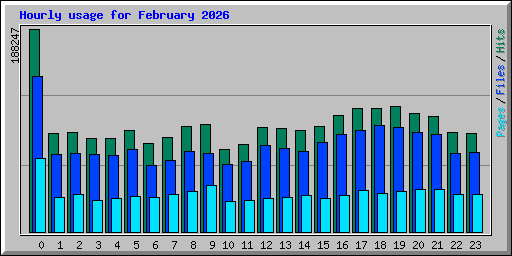 Hourly usage for February 2026