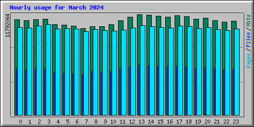 Hourly usage for March 2024