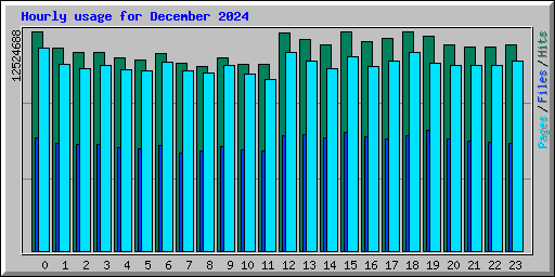Hourly usage for December 2024