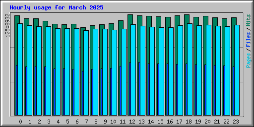 Hourly usage for March 2025