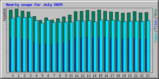 Hourly usage for July 2025