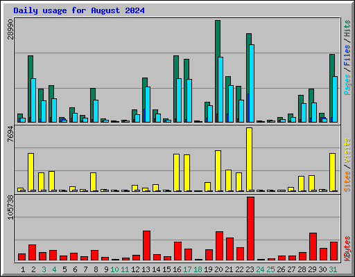 Daily usage for August 2024