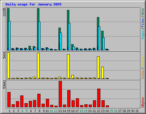 Daily usage for January 2025