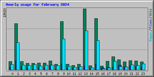 Hourly usage for February 2024