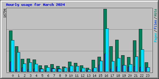 Hourly usage for March 2024