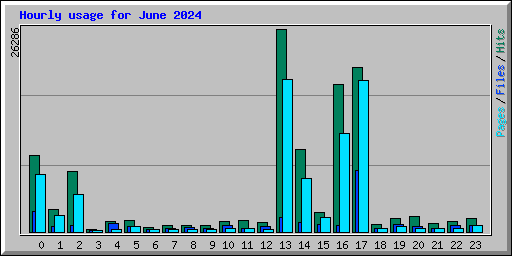 Hourly usage for June 2024