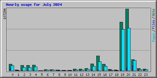 Hourly usage for July 2024
