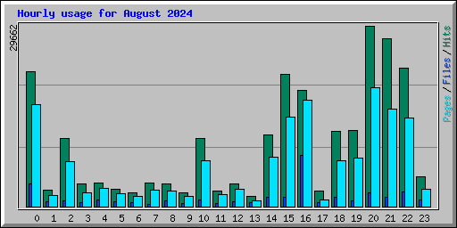 Hourly usage for August 2024