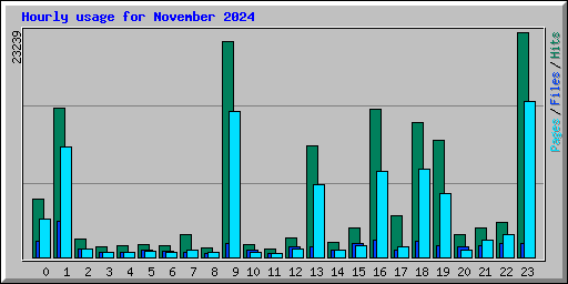 Hourly usage for November 2024