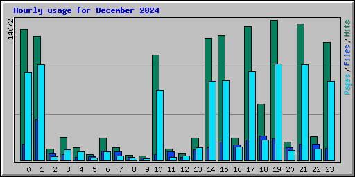Hourly usage for December 2024