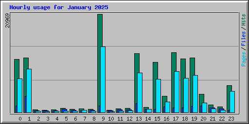 Hourly usage for January 2025