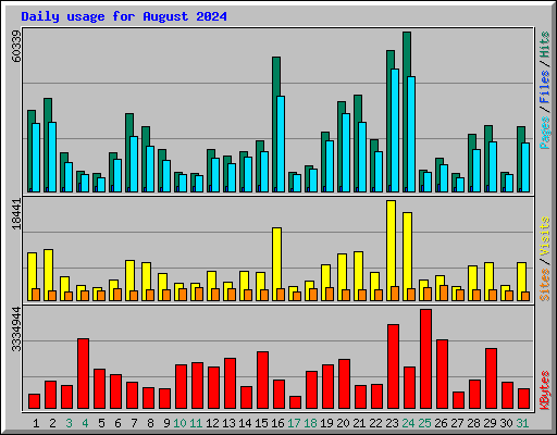 Daily usage for August 2024