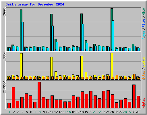 Daily usage for December 2024