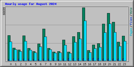 Hourly usage for August 2024