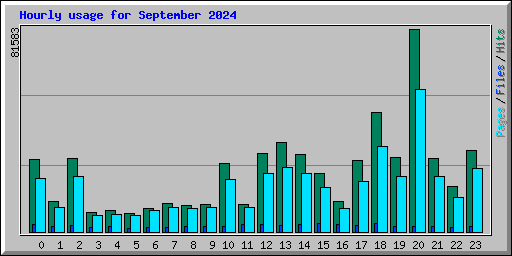 Hourly usage for September 2024