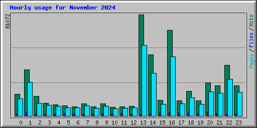 Hourly usage for November 2024