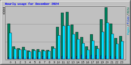 Hourly usage for December 2024