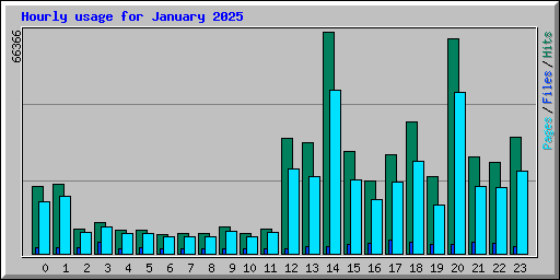 Hourly usage for January 2025