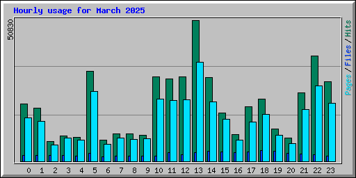 Hourly usage for March 2025