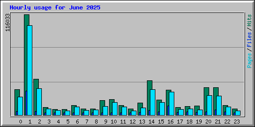 Hourly usage for June 2025