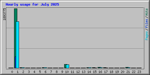 Hourly usage for July 2025