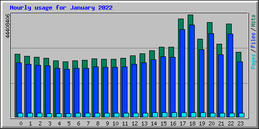 Hourly usage for January 2022