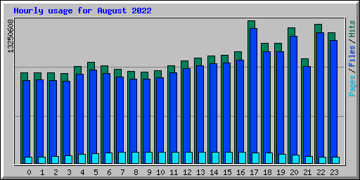 Hourly usage for August 2022