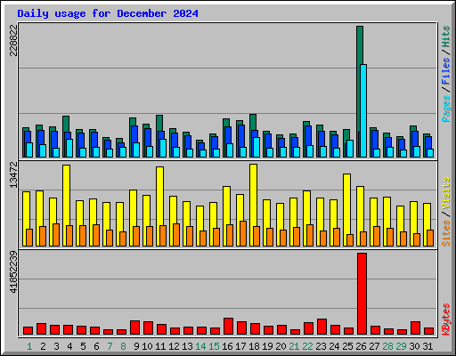 Daily usage for December 2024