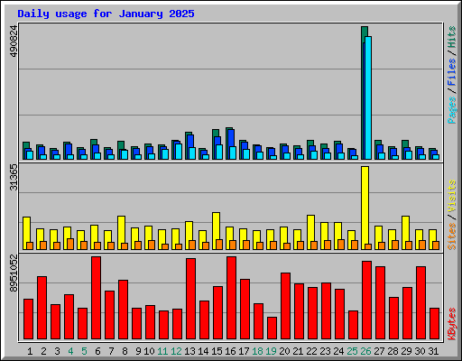 Daily usage for January 2025