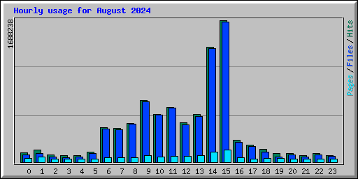 Hourly usage for August 2024