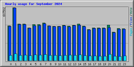 Hourly usage for September 2024