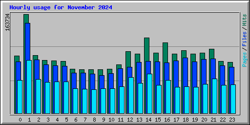 Hourly usage for November 2024