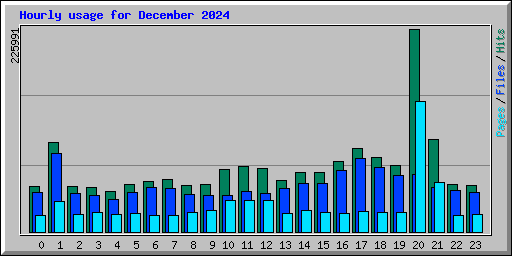 Hourly usage for December 2024