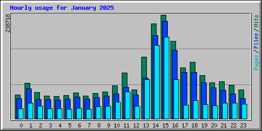 Hourly usage for January 2025