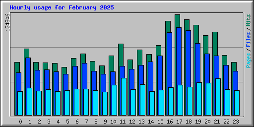 Hourly usage for February 2025