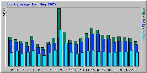 Hourly usage for May 2025