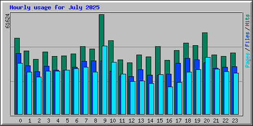 Hourly usage for July 2025