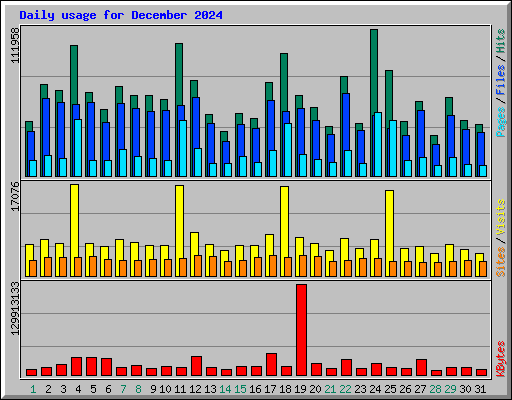 Daily usage for December 2024