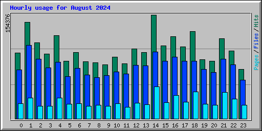 Hourly usage for August 2024