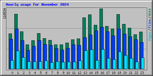 Hourly usage for November 2024