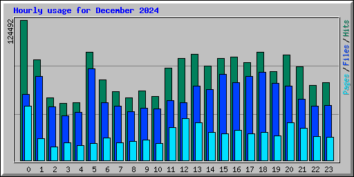 Hourly usage for December 2024