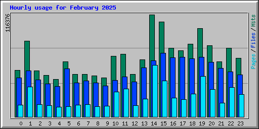 Hourly usage for February 2025