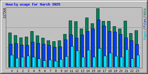 Hourly usage for March 2025