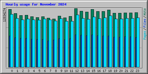Hourly usage for November 2024