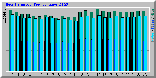 Hourly usage for January 2025