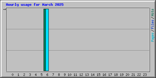 Hourly usage for March 2025