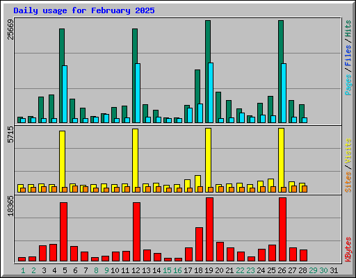 Daily usage for February 2025